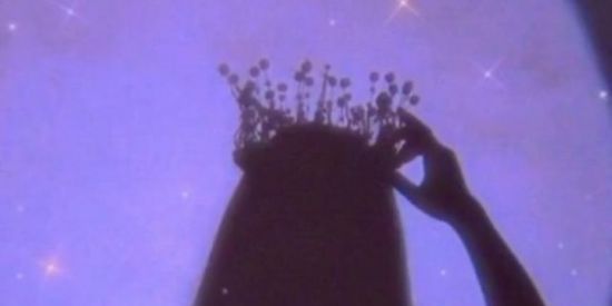 Imagem do grupo de WhatsApp WEBNAMORO