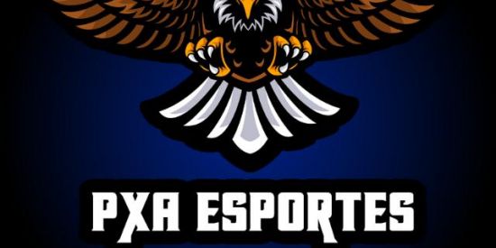 Imagem do grupo de WhatsApp XTREINO PXA_ESPORTES🙅‍♂️💻📱