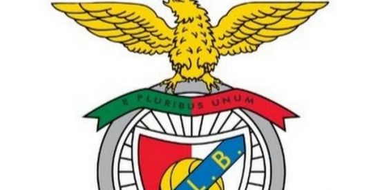 Imagem do grupo de WhatsApp Sport Lisboa e Benfica🔴⚪🦅