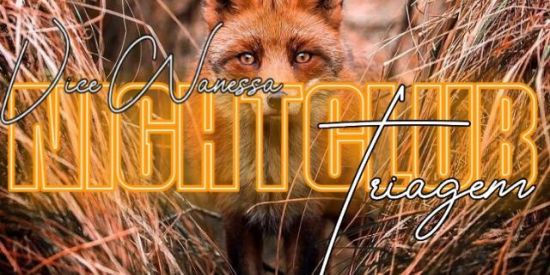 Imagem do grupo de WhatsApp 🦊τriαgєм🦊