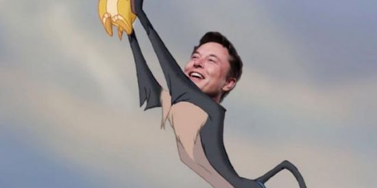 Imagem do grupo de WhatsApp Ðogecoin & Meme = 🚀🌘