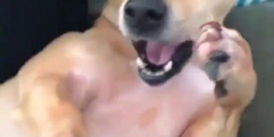 Imagem do grupo de WhatsApp 🧡