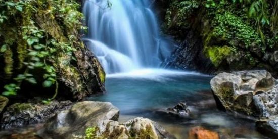 Imagem do grupo de WhatsApp Pertinho de mim ( Zona da Mata)