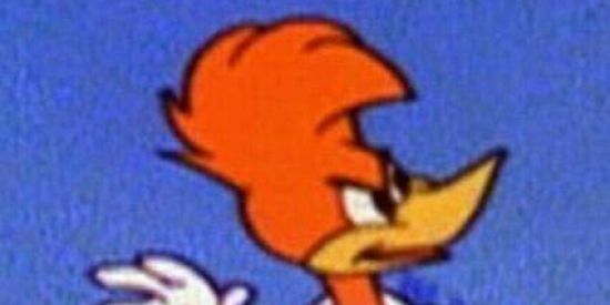 Imagem do grupo de WhatsApp TRASHEIRA MERDAL