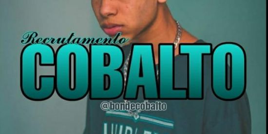 Imagem do grupo de WhatsApp •🦊Recrutamento cobalto🦊•