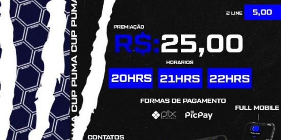 Imagem do grupo de WhatsApp Diário do Puma