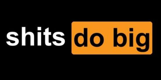 Imagem do grupo de WhatsApp SHITS DO BIG  (shitpost)