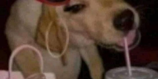 Imagem do grupo de WhatsApp Já Acabou, Jéssica?