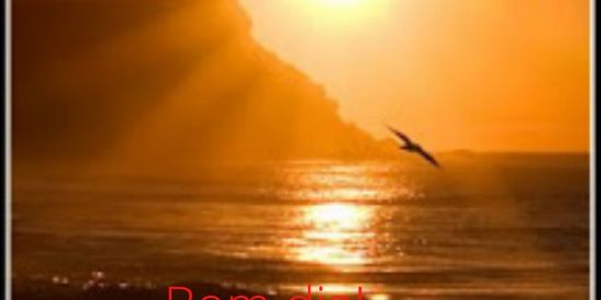 Imagem do grupo de WhatsApp Clube de investimentos JM