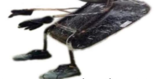 Imagem do grupo de WhatsApp NETTO