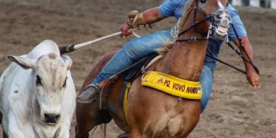 Imagem do grupo de WhatsApp Vaquejada nota 100🤝🏻🐴