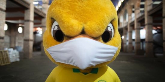 Imagem do grupo de WhatsApp PIU-PIU INVESTIMENTOS