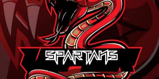 Imagem do grupo de WhatsApp Spartans Família