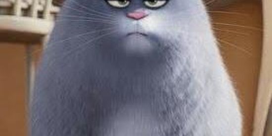 Imagem do grupo de WhatsApp Puro tedioV