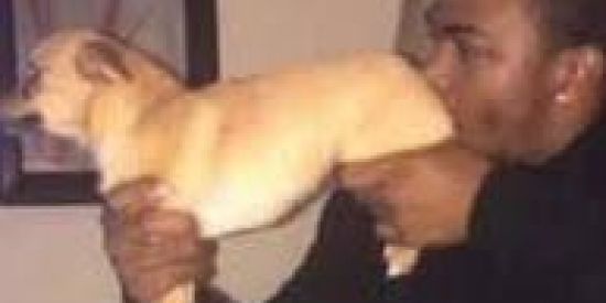 Imagem do grupo de WhatsApp 💩 SHIT DO BOM 💩