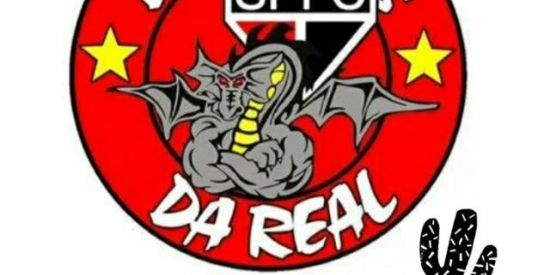 Imagem do grupo de WhatsApp Dragões da Real 🇾🇪