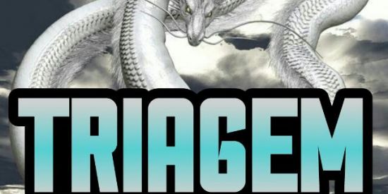 Imagem do grupo de WhatsApp 🐉▪️TRIAGEM▪️🐉2️⃣