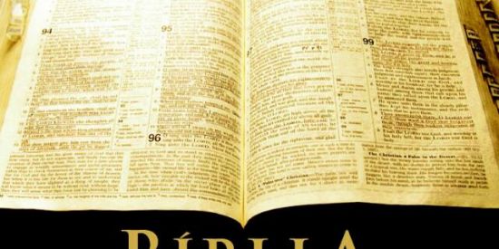 Imagem do grupo de WhatsApp "Viver e Cristo"🙌