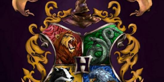 Imagem do grupo de WhatsApp 🐍🦁°•HOGWARTS•°🦡🦅