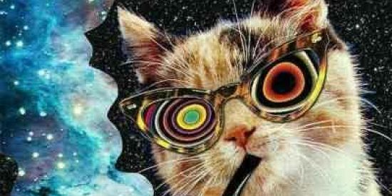 Imagem do grupo de WhatsApp ∆ADOLENCYS∆❤️🖖🏻