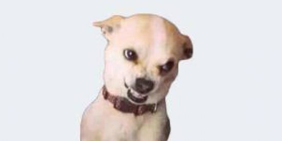 Imagem do grupo de WhatsApp Troca de figurinhas🕵🏻🔪 2.0