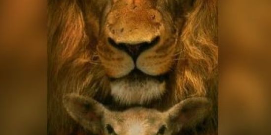 Imagem do grupo de WhatsApp Celula de jovens