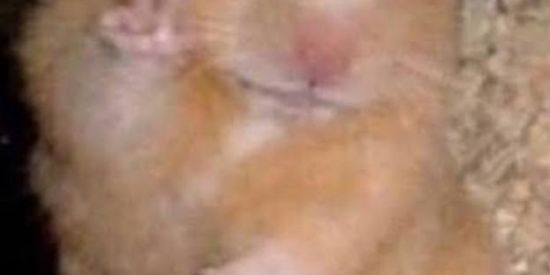 Imagem do grupo de WhatsApp Namoro ou amizade