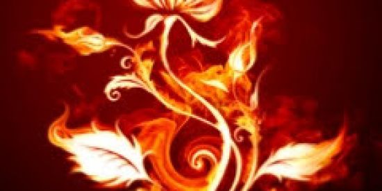 Imagem do grupo de WhatsApp Meninas a3