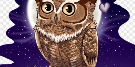 Imagem do grupo de WhatsApp 💜Corujão 2,00 vira 40,00💜