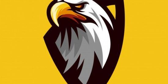 Imagem do grupo de WhatsApp REAL TEAM