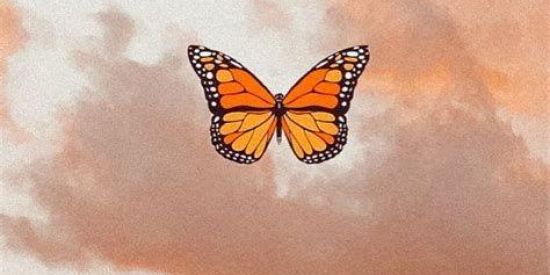 Imagem do grupo de WhatsApp INTERAÇÃO INFLUENCER!