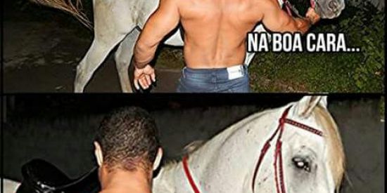 Imagem do grupo de WhatsApp MAROMBAS DE PLANTÃO💪🏾💥⚔