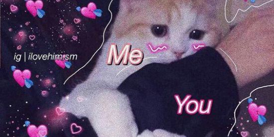 Imagem do grupo de WhatsApp Grupo de web namoro