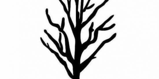 Imagem do grupo de WhatsApp Hunters CDL🕵️‍♂️👩‍💻