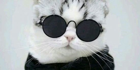 Imagem do grupo de WhatsApp 🌴꙰⃟⏤͟͞Sem Fut͢uro🌹⃤