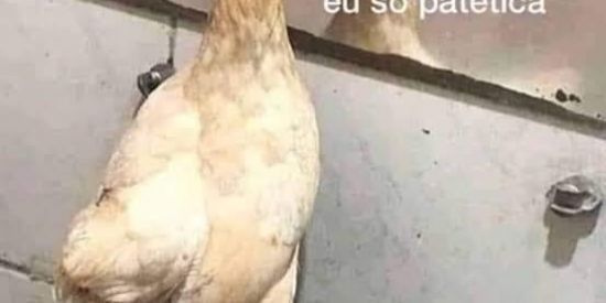 Imagem do grupo de WhatsApp sim