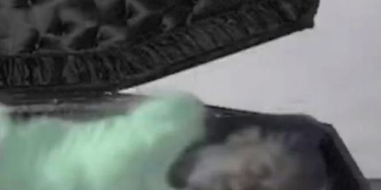 Imagem do grupo de WhatsApp Moots lindos😄