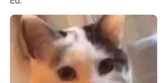 Imagem do grupo de WhatsApp Pega e não se apega 😏❤