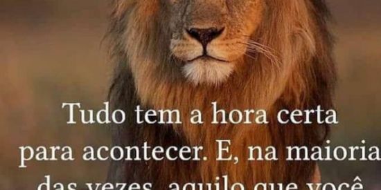 Imagem do grupo de WhatsApp Namoro Gospel