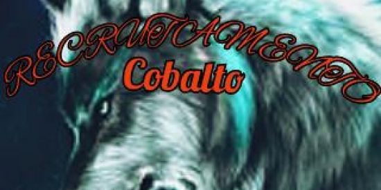 Imagem do grupo de WhatsApp 🐺 RECRUTAMENTO COBALTO 🐺1