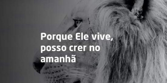 Imagem do grupo de WhatsApp JESUS ESTÁ VOLTANDO 🙌🏻😍