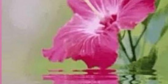 Imagem do grupo de WhatsApp Do 0 ao 6mil sem custo