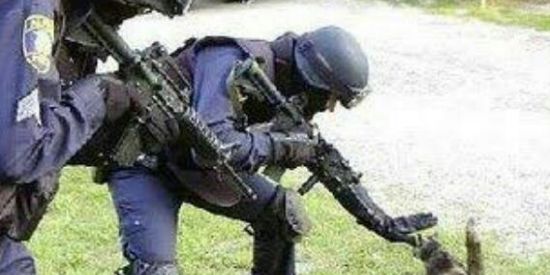 Imagem do grupo de WhatsApp Federais das calchinas