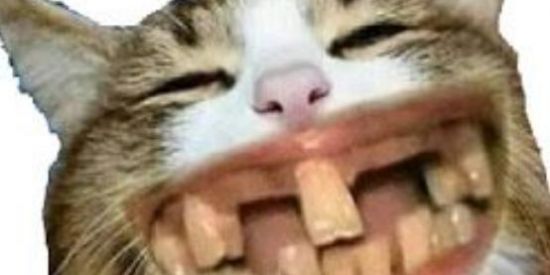 Imagem do grupo de WhatsApp Zoeira da pesada