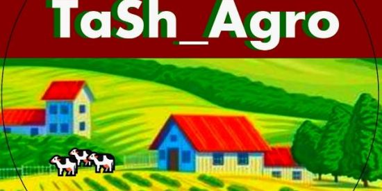 Imagem do grupo de WhatsApp TashAgro🌽🚜👍🏼