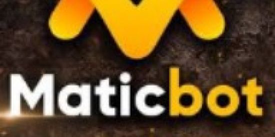 Imagem do grupo de WhatsApp ⚜️⚜️Recepção MaticBot 31⚜️⚜️