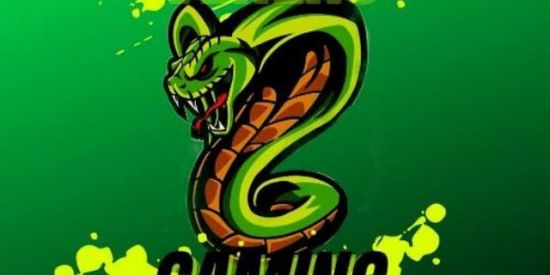 Imagem do grupo de WhatsApp XTREINO VENENO GG🥷🏽☠️