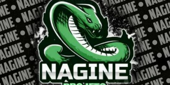 Imagem do grupo de WhatsApp Recrutamento Ng's