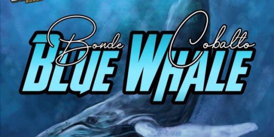 Imagem do grupo de WhatsApp 🔥BONDE 24H_ᴜᴛ'ᔚ♚200🔥