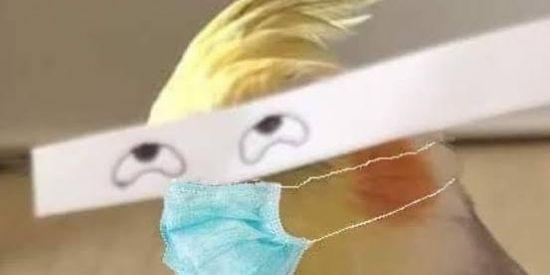 Imagem do grupo de WhatsApp ৢۜ͜͡S H I T P ེO S T፝͜͡卐